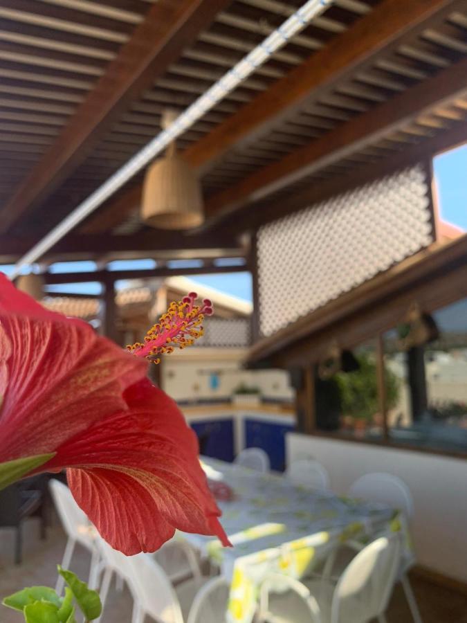 דירות סן ויטו לו קאפו Blu Terrace מראה חיצוני תמונה